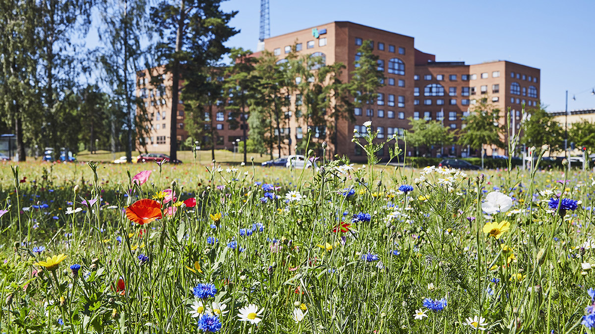 Kommunhus i rött tegel och en äng med blommor