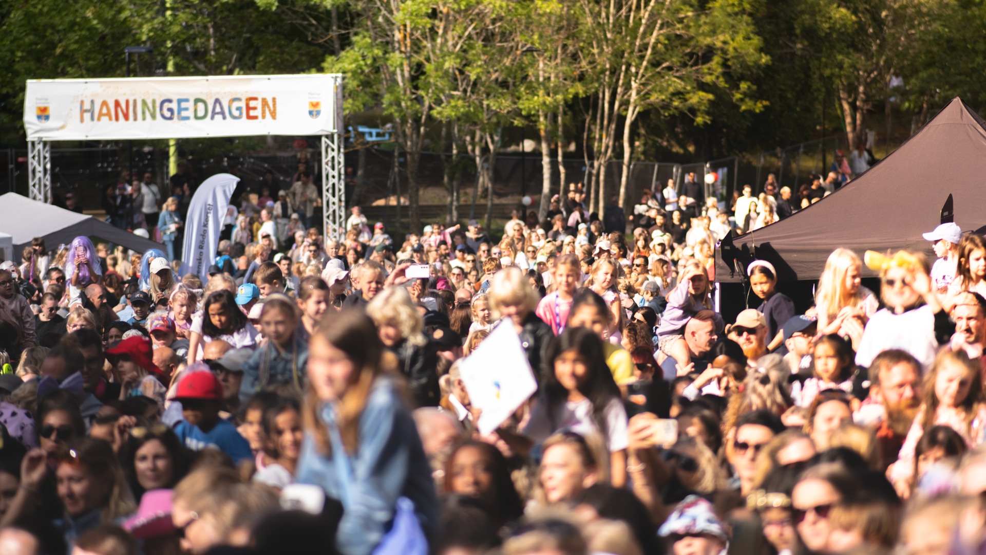 Folkmassa på Haningedagen 2025.