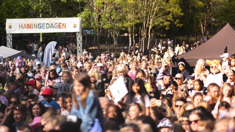 Bild på besökare under Haningedagen 2025