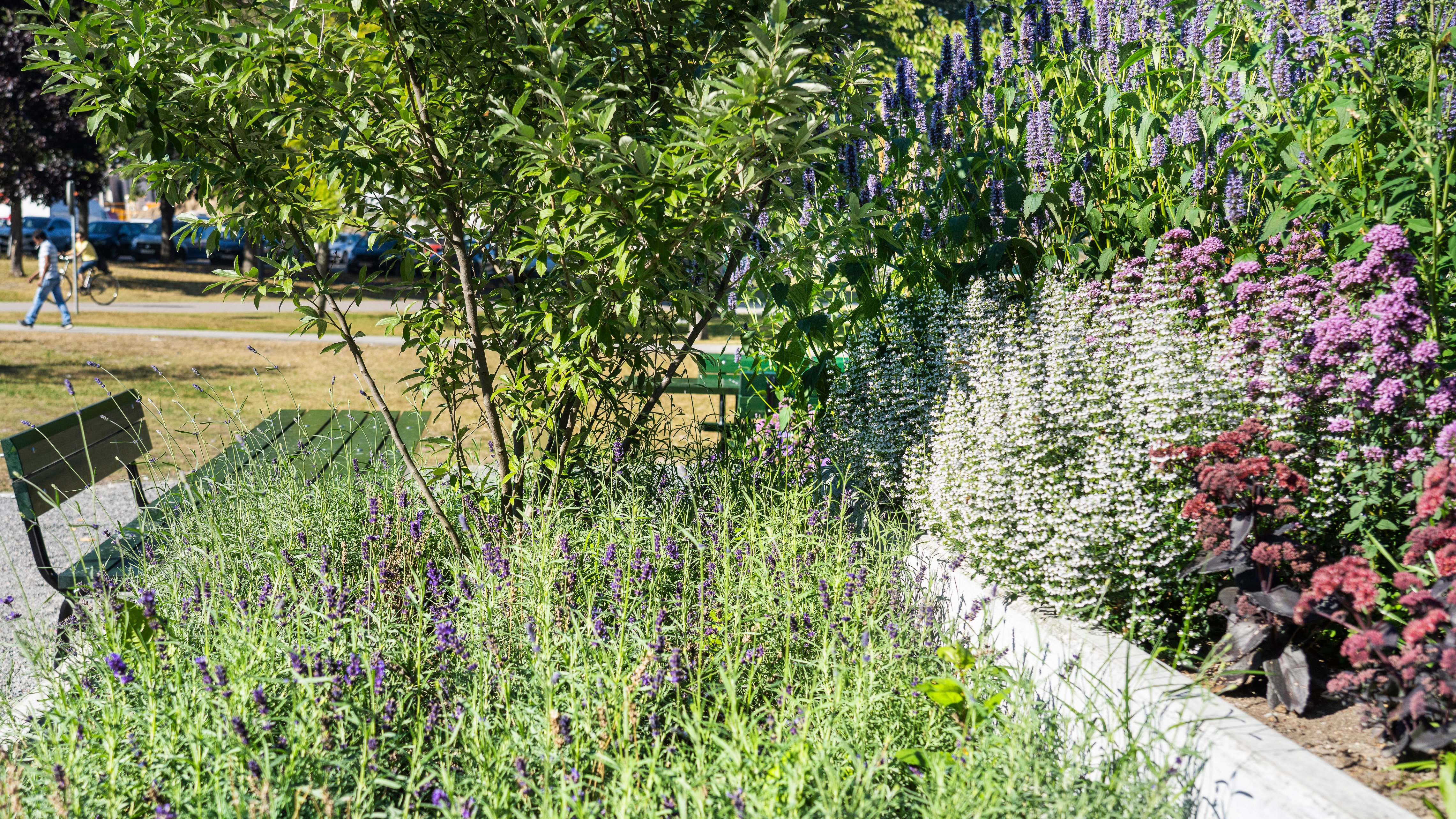 Blomsterrabatt i köksträdgården i Höglundaparken i Jordbro