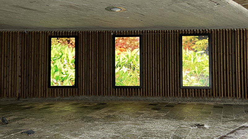 Gångtunnel i träpanel med digitala skärmar